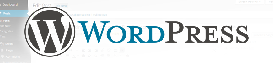 WordPress Logo Banner