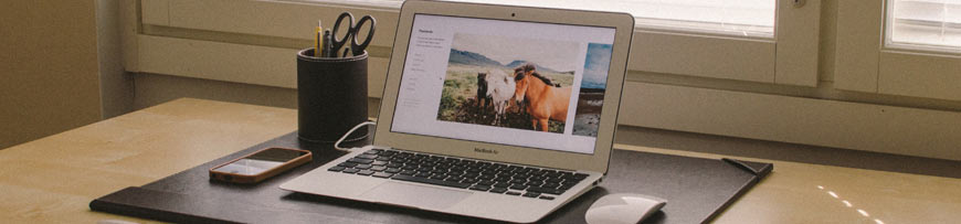 Website Photo Content on a Laptop