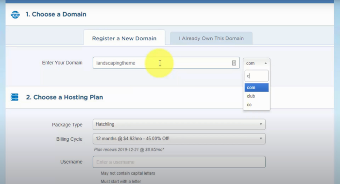 Registering for a domain and hosting